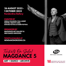 MagDance5 poster